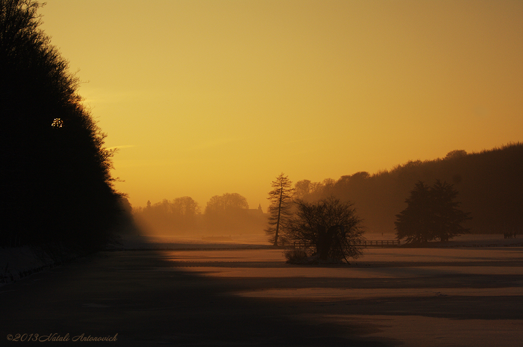 Album  "Winter landscape" | Photography image "Parallels" by Natali Antonovich in Photostock.