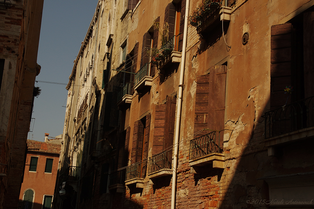 Album "Venise" | Image de photographie "Venise" de Natali Antonovich en photostock.