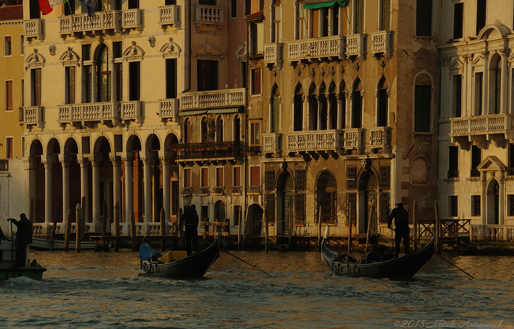 Album "Kanäle von Venedig" | Fotografiebild "Water Gravitation" von Natali Antonovich im Sammlung/Foto Lager.