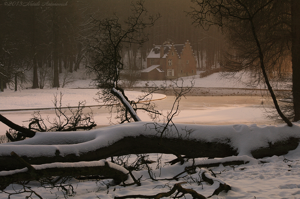 Album "Image sans titre" | Image de photographie "Hiver. Vacances de Noël" de Natali Antonovich en photostock.