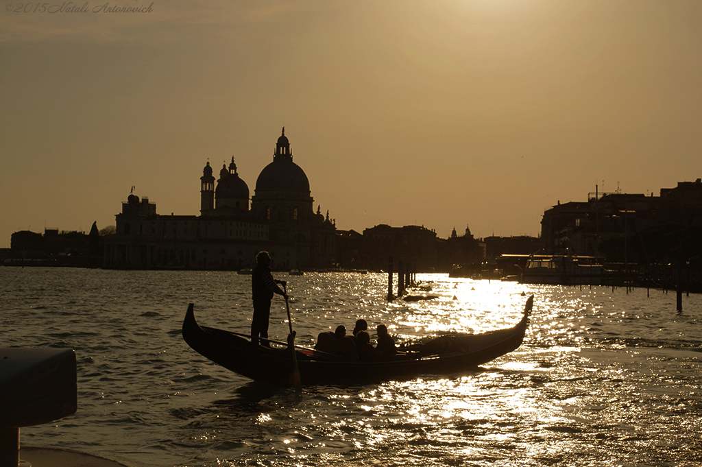 Album "Venise" | Image de photographie "Water Gravitation" de Natali Antonovich en photostock.