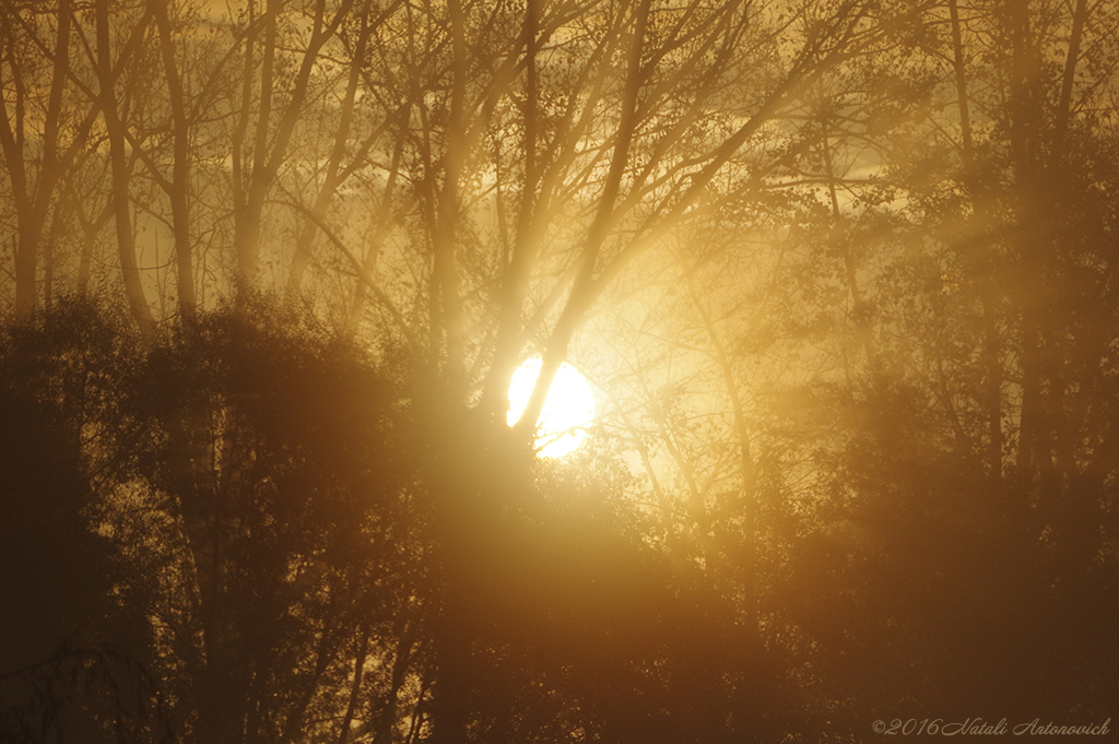 Photography image "Image without title" by Natali Antonovich | Photostock.