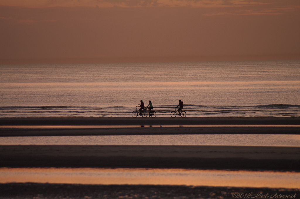 Album  "Seascape" | Photography image "Belgian Coast" by Natali Antonovich in Photostock.
