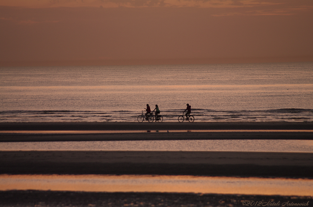 Album  "Seascape" | Photography image "Belgium" by Natali Antonovich in Photostock.