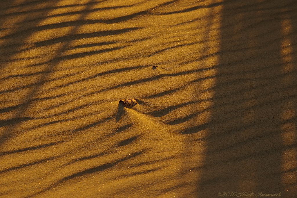 Album  "Image without title" | Photography image "Belgian Coast" by Natali Antonovich in Photostock.