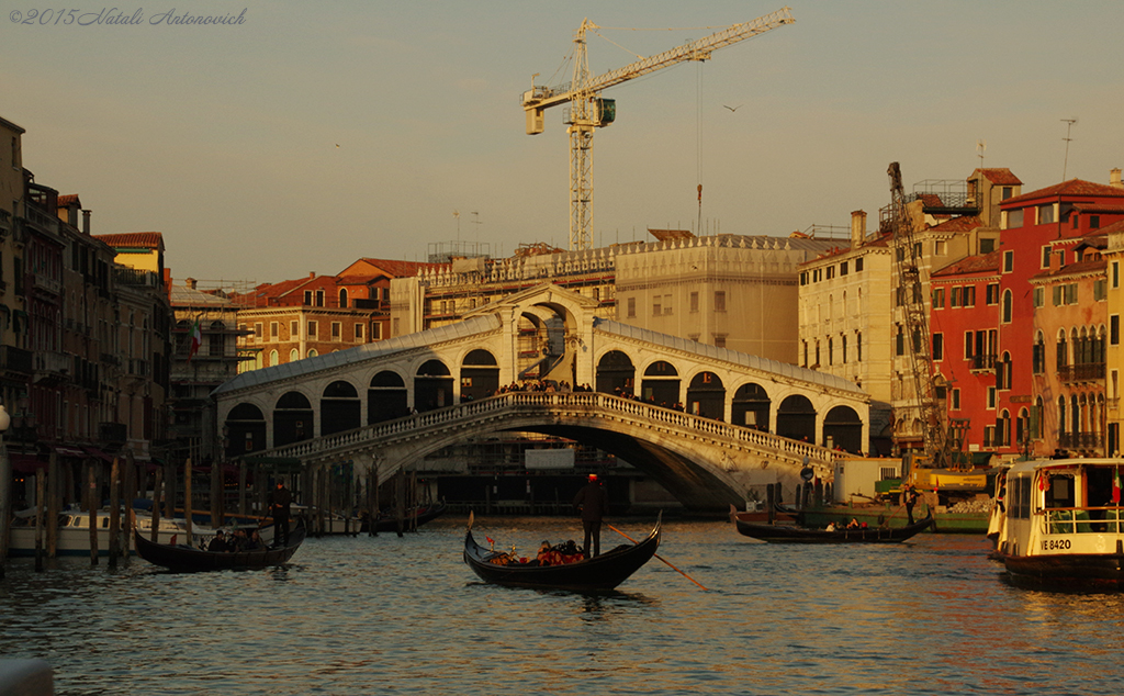 Album  "Venice" | Photography image "Water Gravitation" by Natali Antonovich in Photostock.