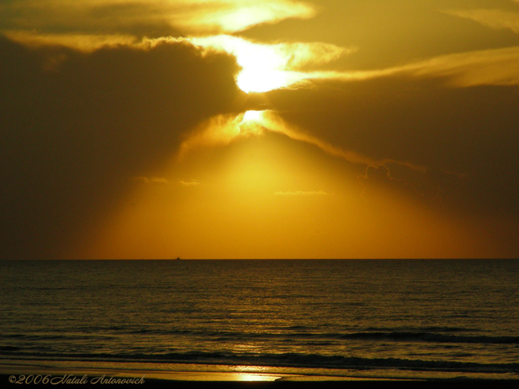 Album  "Image without title" | Photography image "Belgian Coast" by Natali Antonovich in Photostock.