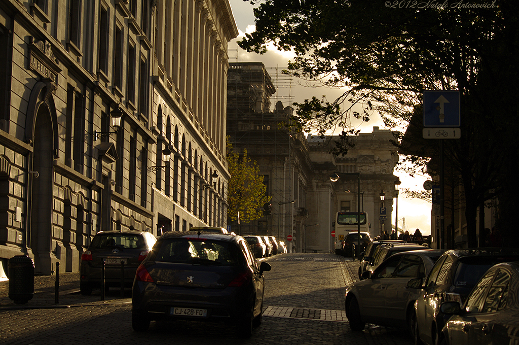 Album  "Image without title" | Photography image "Brussels" by Natali Antonovich in Photostock.