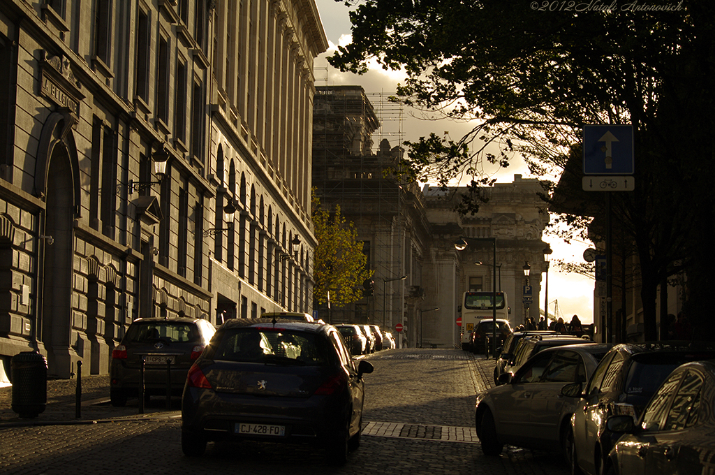 Album "Afbeelding zonder titel" | Fotografie afbeelding " Brussel" door Natali Antonovich in Archief/Foto Voorraad.