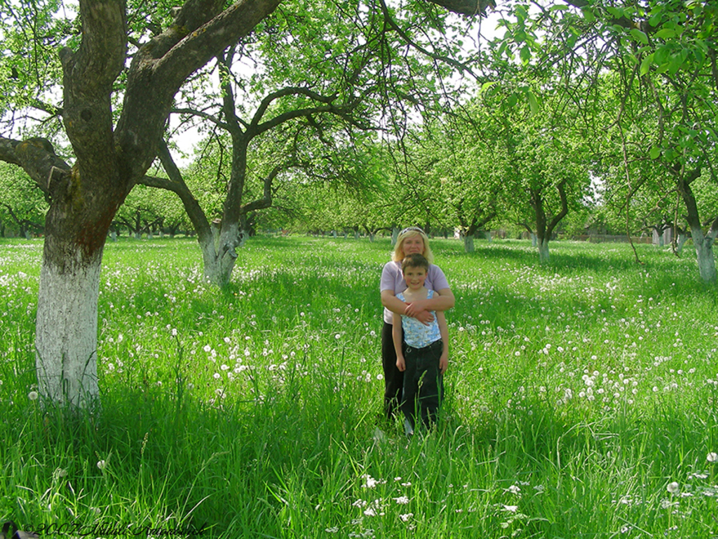 Album "Bild ohne Titel" | Fotografiebild "Frühling" von Natali Antonovich im Sammlung/Foto Lager.