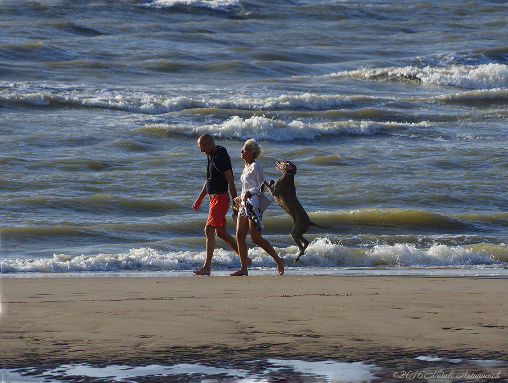 Image de photographie "Marcher le long de la côte" de Natali Antonovich | Photostock.