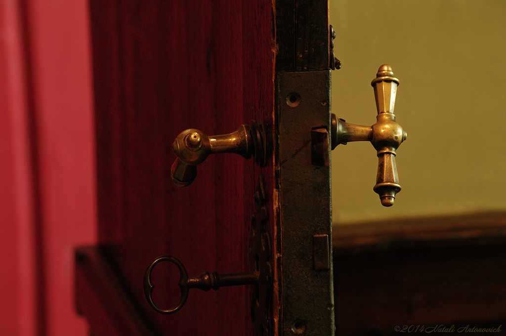 Photography image "Image without title" by Natali Antonovich | Photostock.