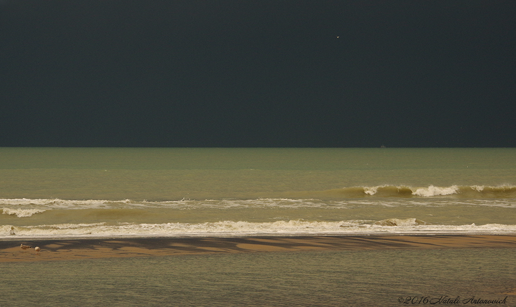 Photography image "Dark sky over North Sea" by Natali Antonovich | Photostock.