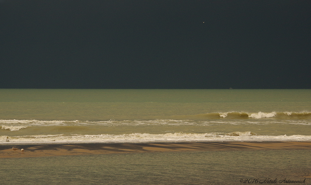 Fotografie afbeelding "Donkere hemel over de Noordzee" door Natali Antonovich | Archief/Foto Voorraad.