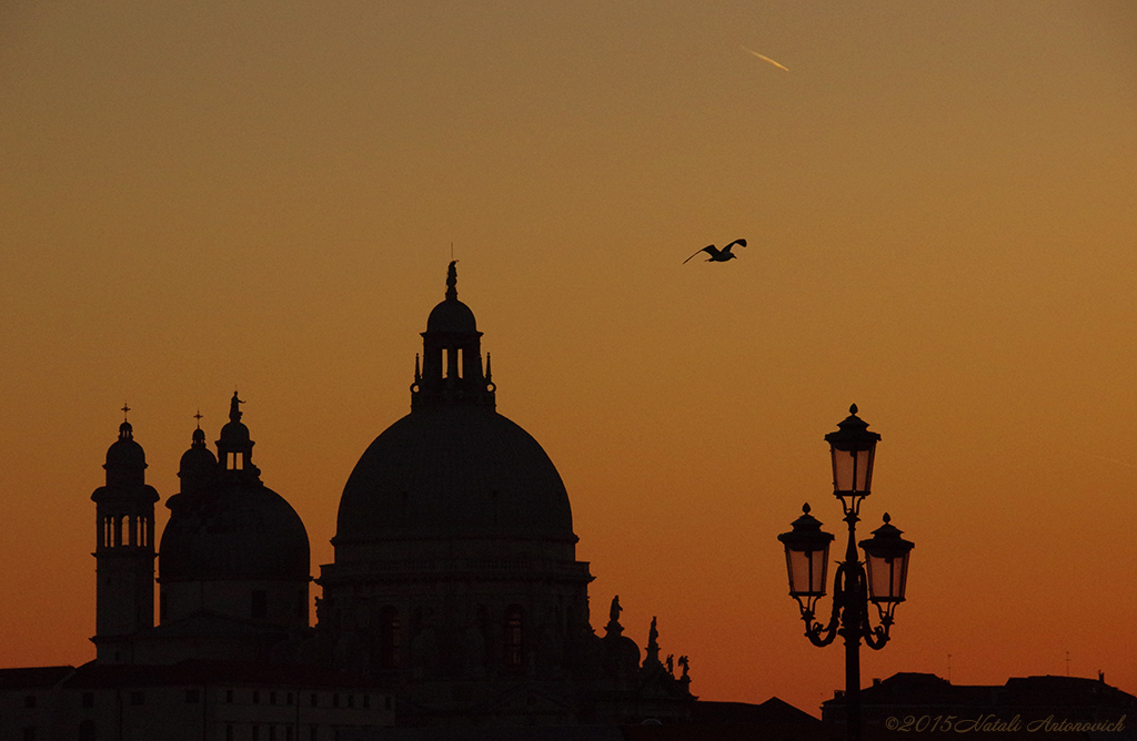 Image de photographie "Venise" de Natali Antonovich | Photostock.