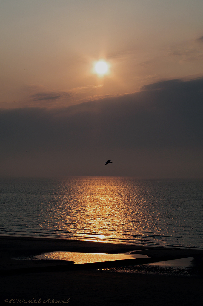 Album "Meer landschaft" | Fotografiebild "Belgien" von Natali Antonovich im Sammlung/Foto Lager.