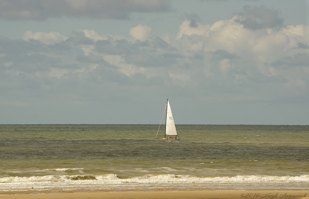 Album  "Seascape" | Photography image "Belgian Coast" by Natali Antonovich in Photostock.