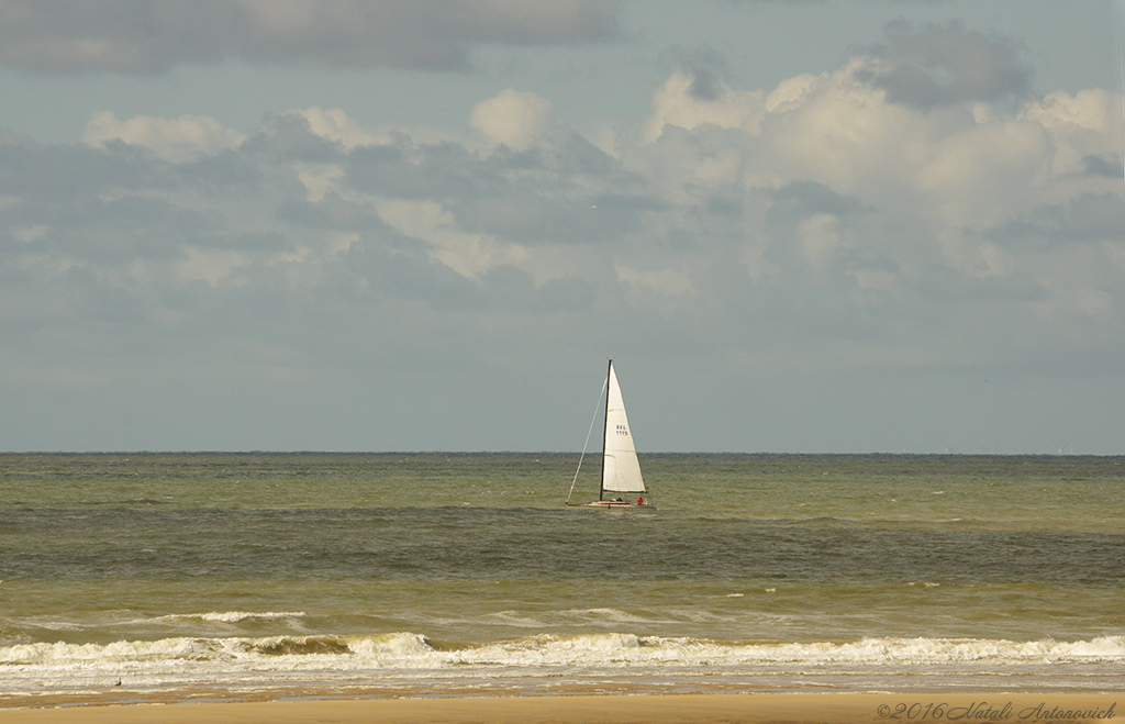 Fotografiebild "Meer landschaft" von Natali Antonovich | Sammlung/Foto Lager.