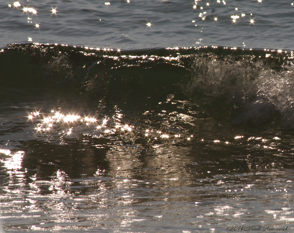 Album  "Reflections" | Photography image "Water Gravitation" by Natali Antonovich in Photostock.