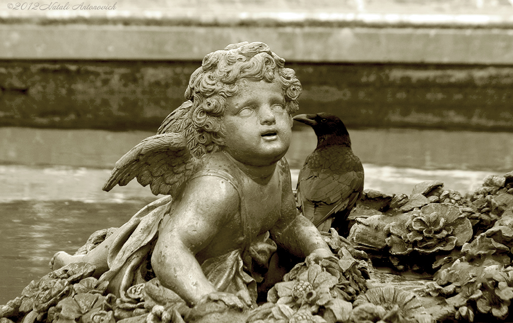 Album "Cupido en Raaf" | Fotografie afbeelding "Vogels" door Natali Antonovich in Archief/Foto Voorraad.