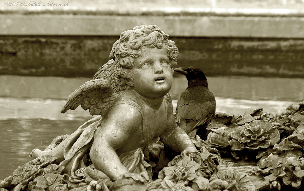 Album  "Cupid and Raven" | Photography image "Parallels" by Natali Antonovich in Photostock.