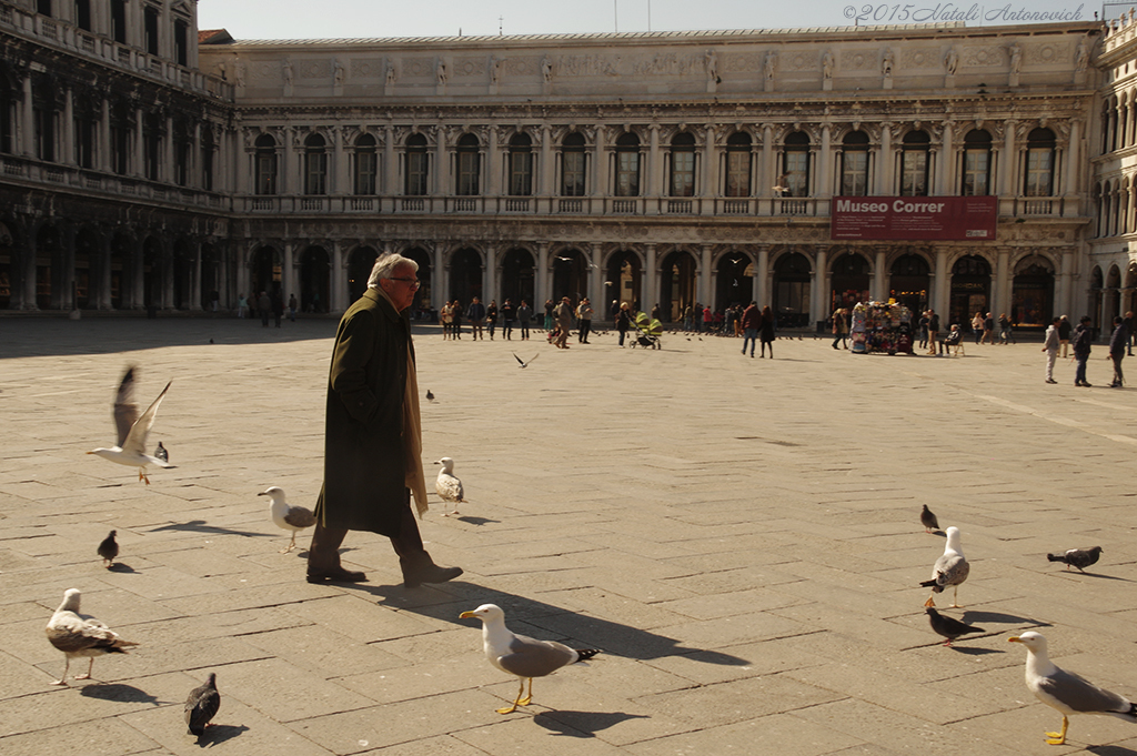 Fotografie afbeelding "San Marcoplein" door Natali Antonovich | Archief/Foto Voorraad.