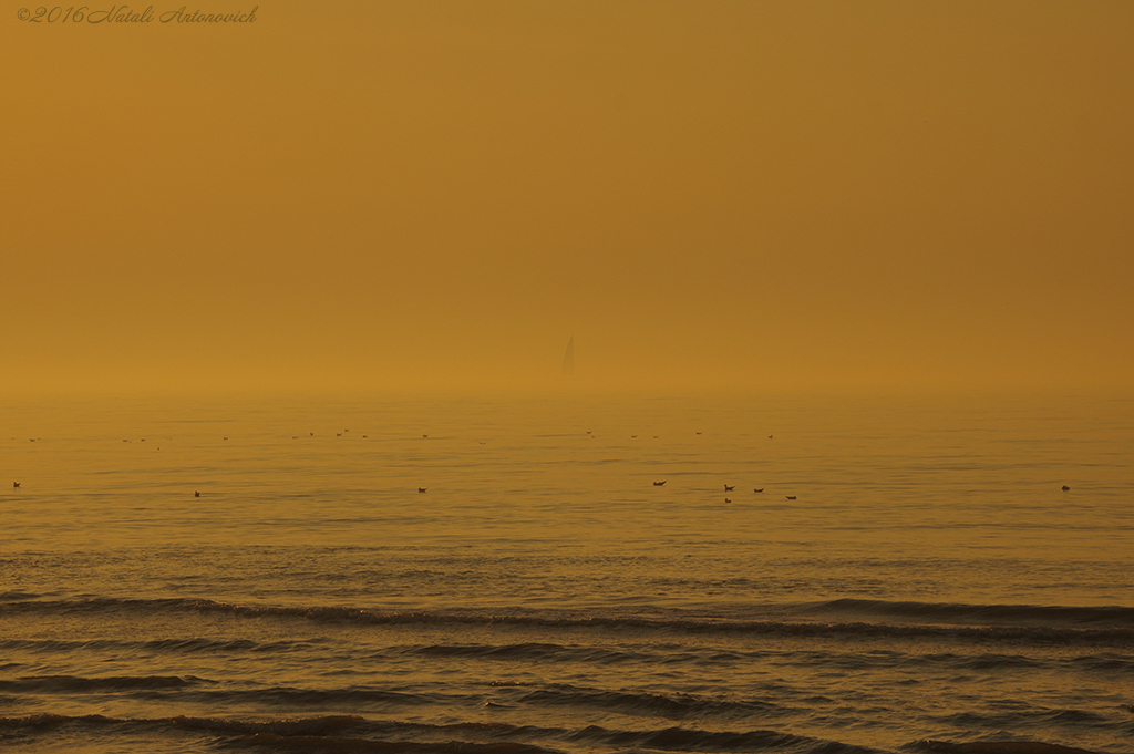 Fotografiebild "Meer landschaft" von Natali Antonovich | Sammlung/Foto Lager.