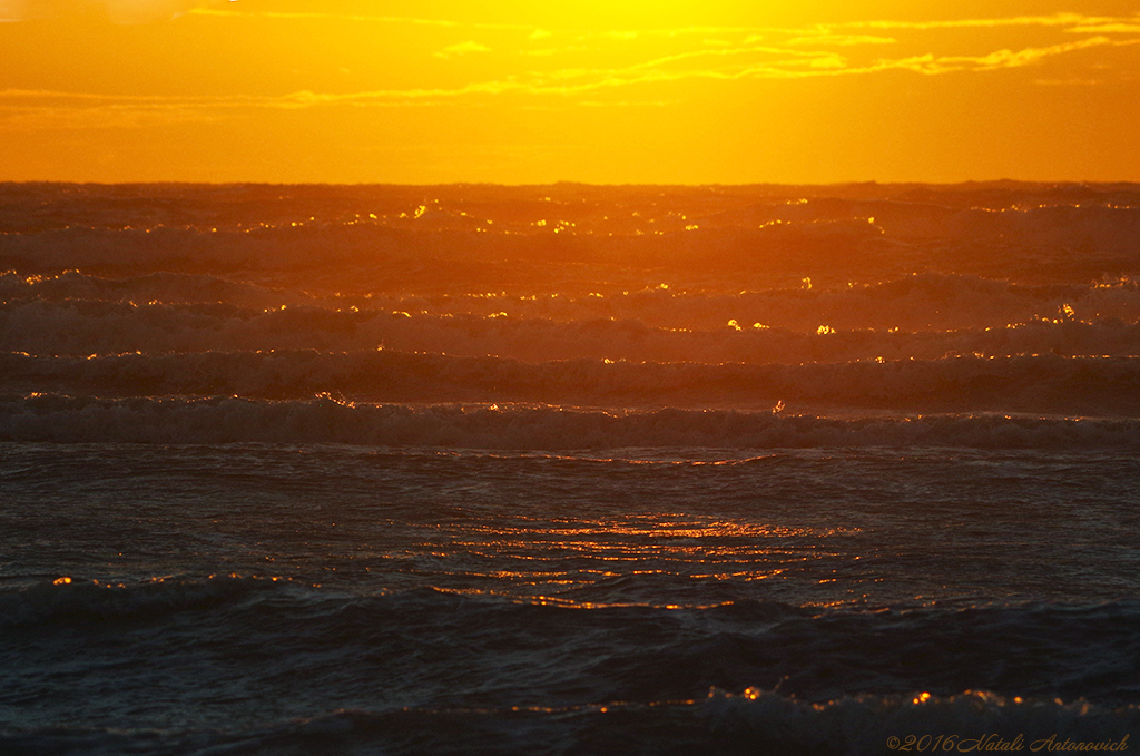 Album  "Seascape on windy evening" | Photography image "Belgian Coast" by Natali Antonovich in Photostock.