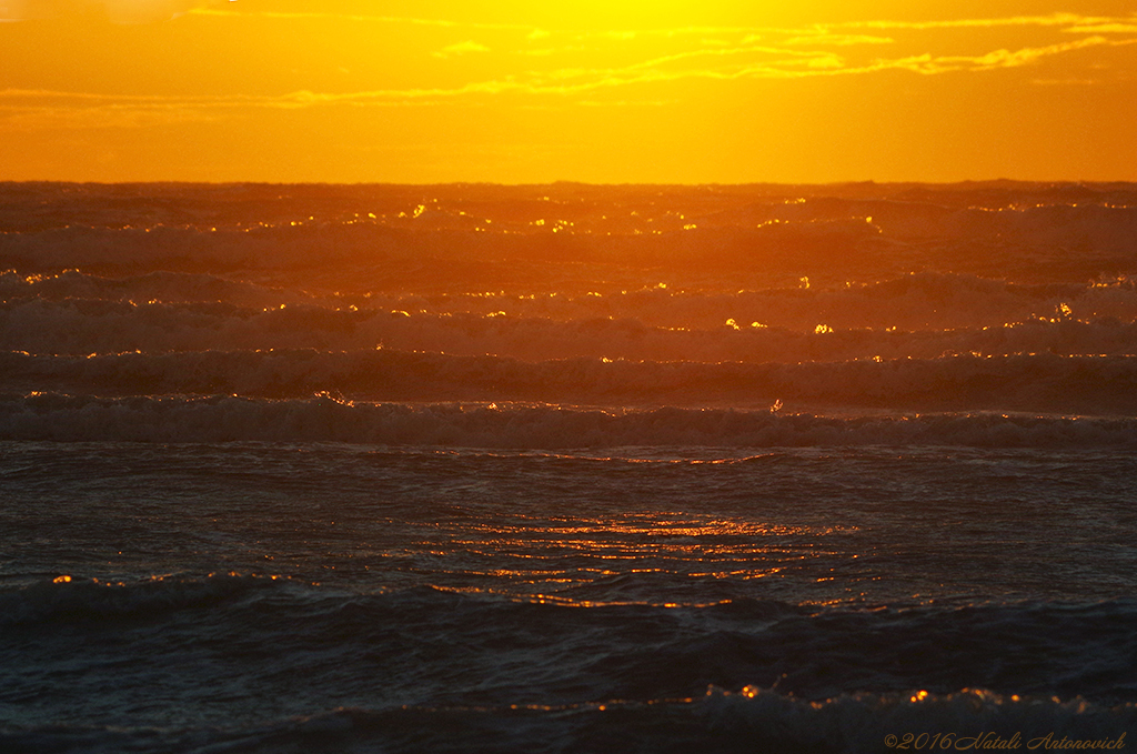 Album "Meer landschaft am windigen Abend" | Fotografiebild "Water Gravitation" von Natali Antonovich im Sammlung/Foto Lager.