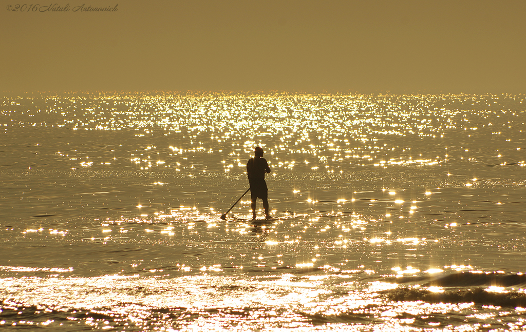 Album  "Seascape" | Photography image "Parallels" by Natali Antonovich in Photostock.