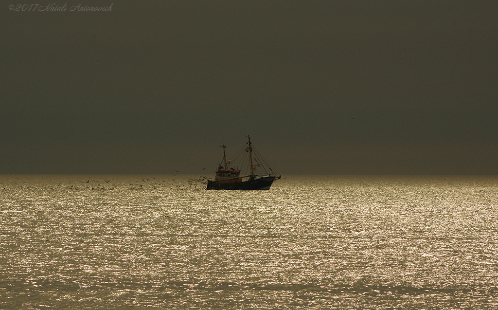 Album "Meer landschaft" | Fotografiebild "Belgien" von Natali Antonovich im Sammlung/Foto Lager.