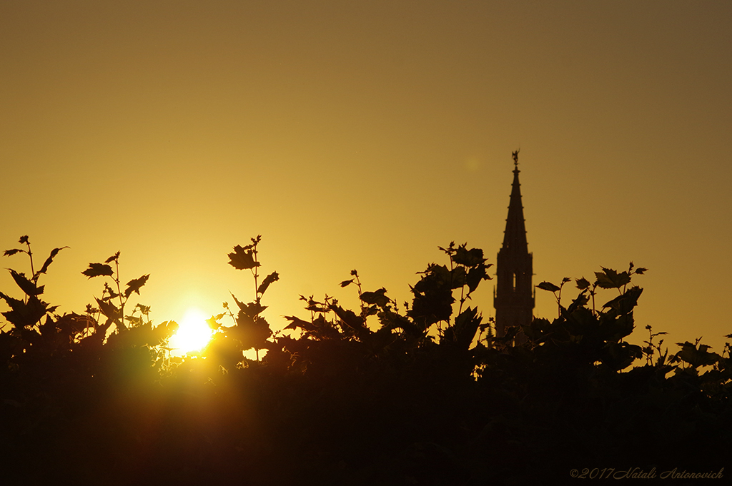 Album  "Image without title" | Photography image "Belgium" by Natali Antonovich in Photostock.