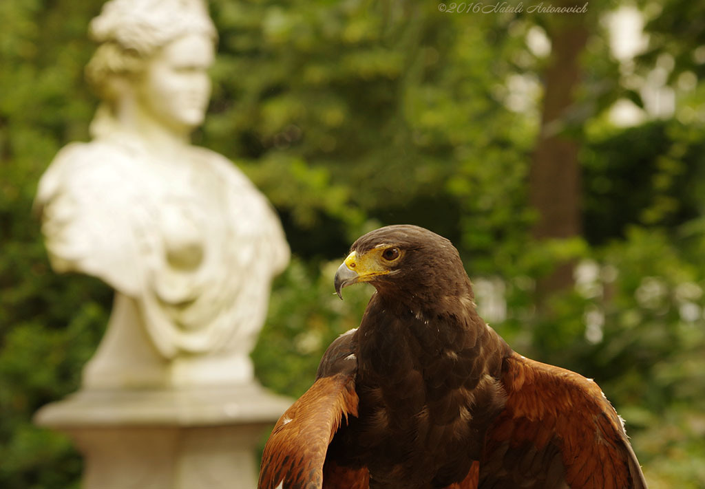 Image de photographie "Image sans titre" de Natali Antonovich | Photostock.