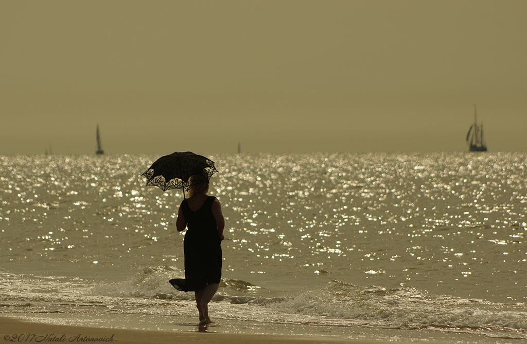 Fotografiebild "Nordsee" von Natali Antonovich | Sammlung/Foto Lager.