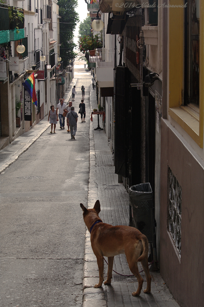 Album "Paysage urbain" | Image de photographie "Sitges. Catalogne. Espagne" de Natali Antonovich en photostock.