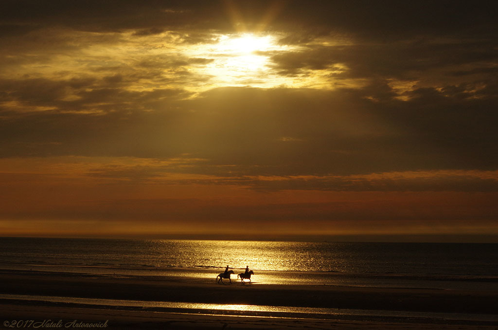 Album  "North Sea" | Photography image "Belgian Coast" by Natali Antonovich in Photostock.