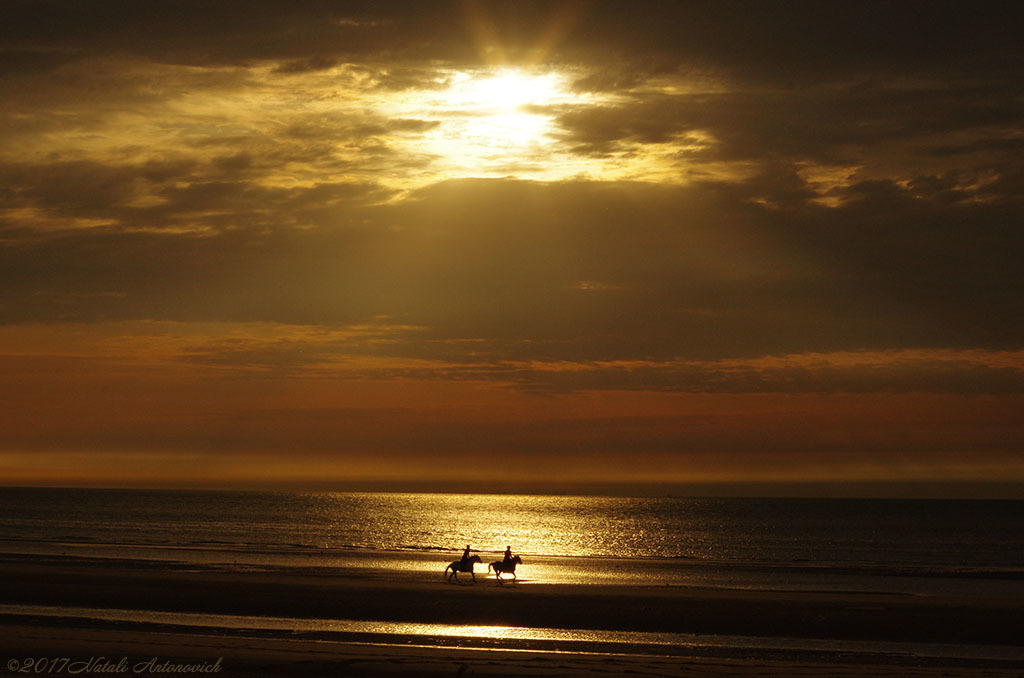 Album "Noordzee" | Fotografie afbeelding "Celestial mood" door Natali Antonovich in Archief/Foto Voorraad.