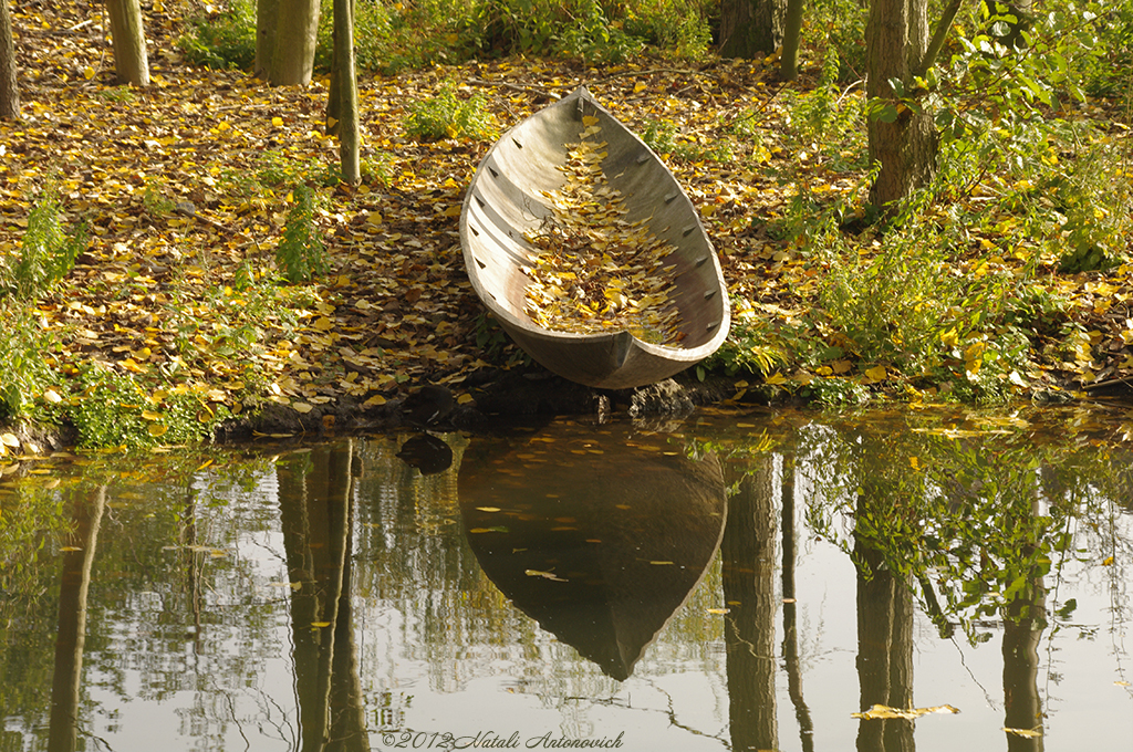 Album "Herfst" | Fotografie afbeelding "Water Gravitation" door Natali Antonovich in Archief/Foto Voorraad.