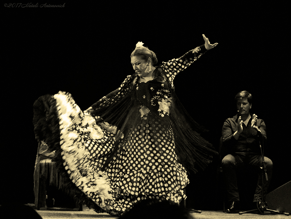Album "Milagros Menjibar" | Fotografie afbeelding "Dance" door Natali Antonovich in Archief/Foto Voorraad.