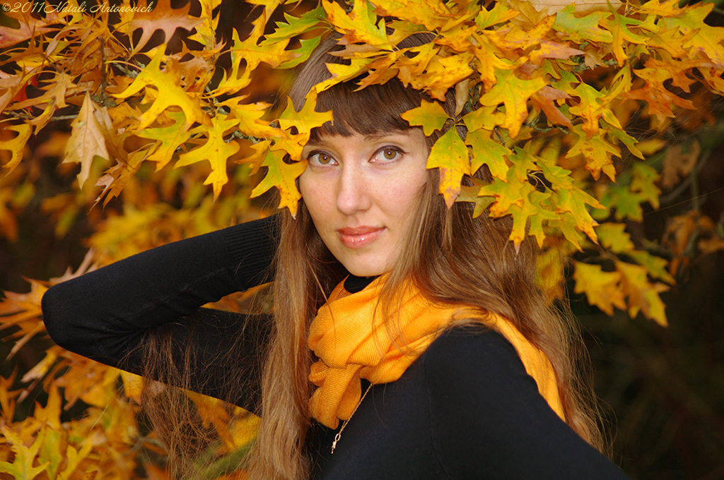 Album  "Natalya Hrebionka" | Photography image " Autumn" by Natali Antonovich in Photostock.