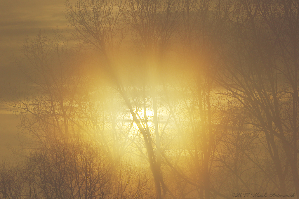 Image de photographie "Image sans titre" de Natali Antonovich | Photostock.