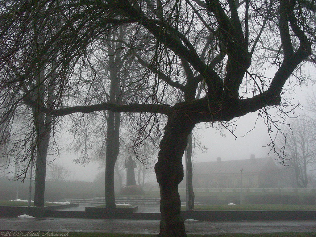 Album  "Image without title" | Photography image " Belarus" by Natali Antonovich in Photostock.