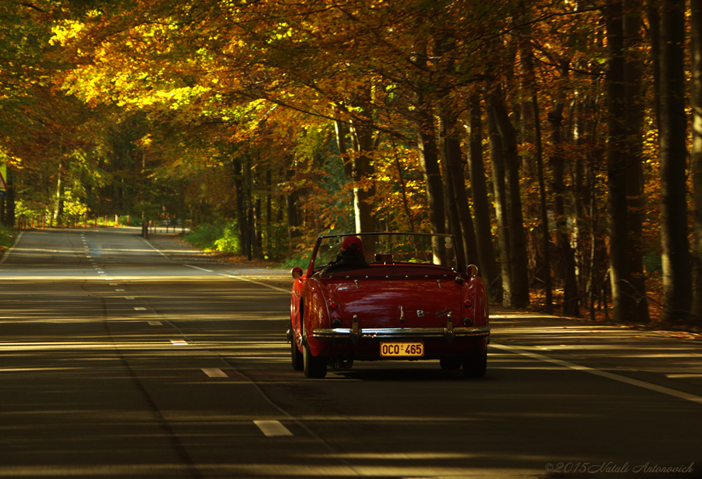 Album  "Image without title" | Photography image " Autumn" by Natali Antonovich in Photostock.