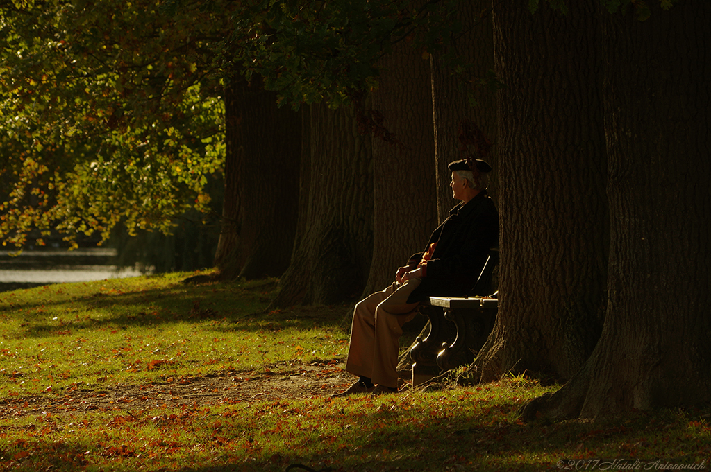 Album "Image sans titre" | Image de photographie "Tervuren. Belgique" de Natali Antonovich en photostock.