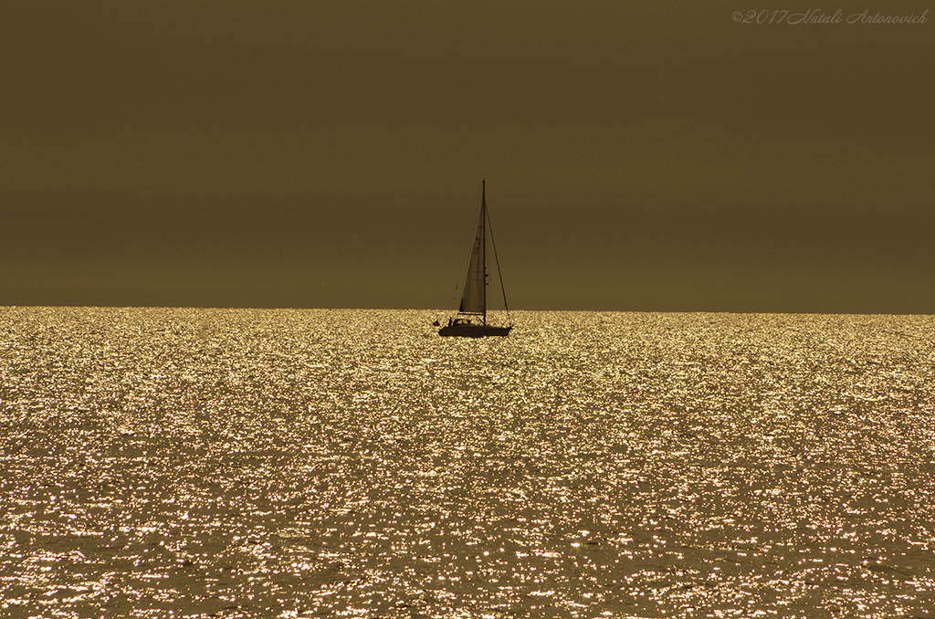 Photography image "Image without title" by Natali Antonovich | Photostock.