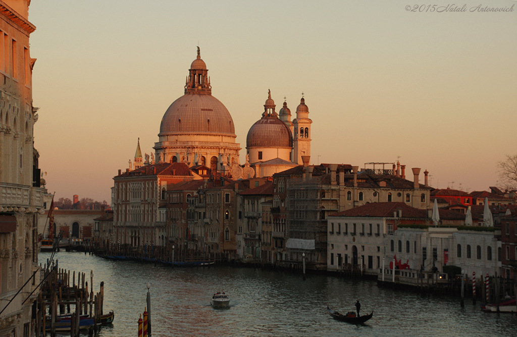 Album "Bild ohne Titel" | Fotografiebild "Venedig" von Natali Antonovich im Sammlung/Foto Lager.