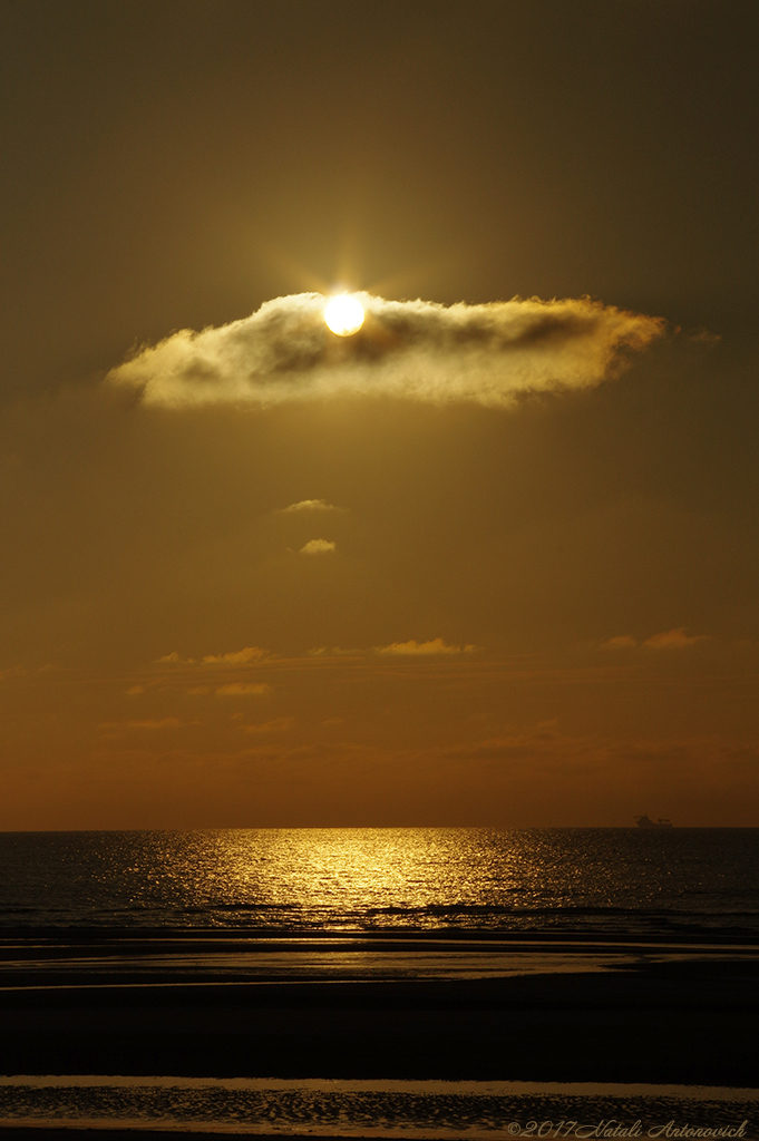 Photography image "Image without title" by Natali Antonovich | Photostock.
