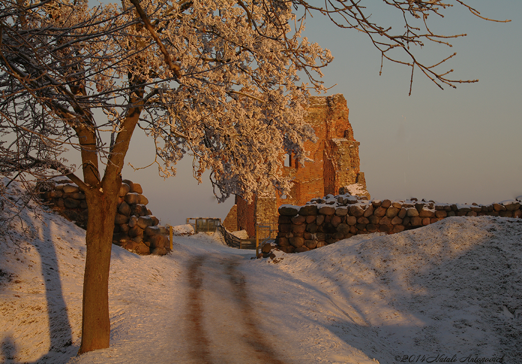 Album "Afbeelding zonder titel" | Fotografie afbeelding "Winter. Kerstvakantie" door Natali Antonovich in Archief/Foto Voorraad.