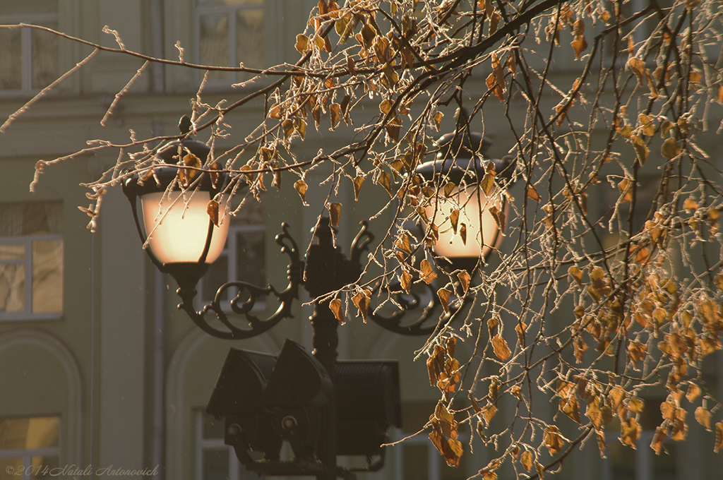 Album "Bild ohne Titel" | Fotografiebild "Winter. Weihnachtsferien" von Natali Antonovich im Sammlung/Foto Lager.