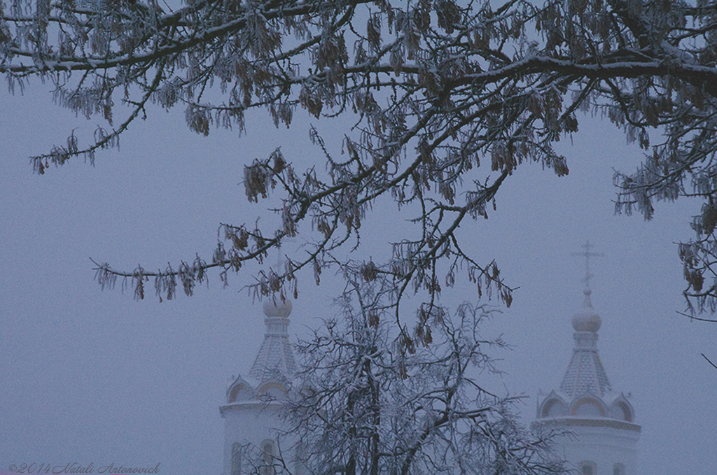 Album "Image sans titre" | Image de photographie "Hiver. Vacances de Noël" de Natali Antonovich en photostock.